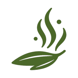 Kompleks Aroma Profili